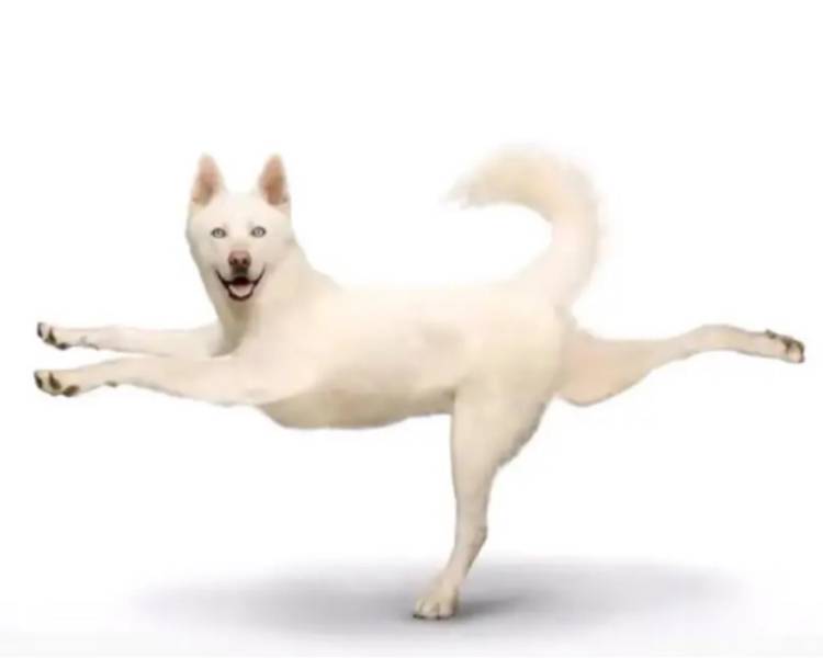 群舞接单通告开业活动社交活动演出活动形象风格可爱淑女御姐女王范