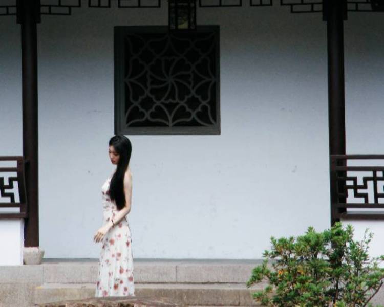 艺人背景图