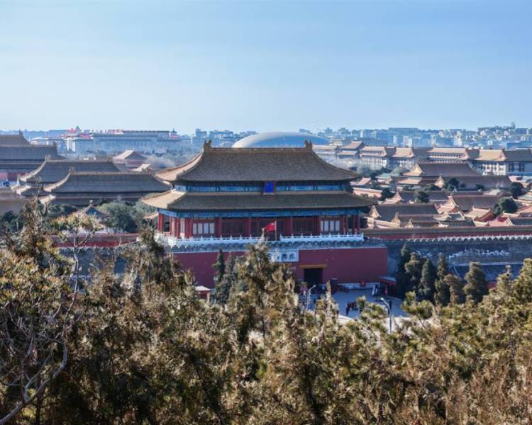艺人背景图