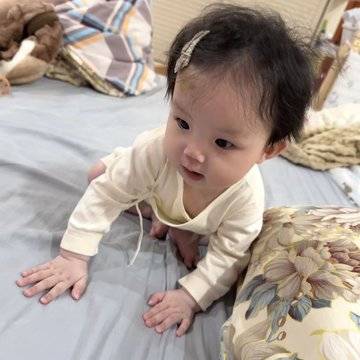 C的微模卡作品