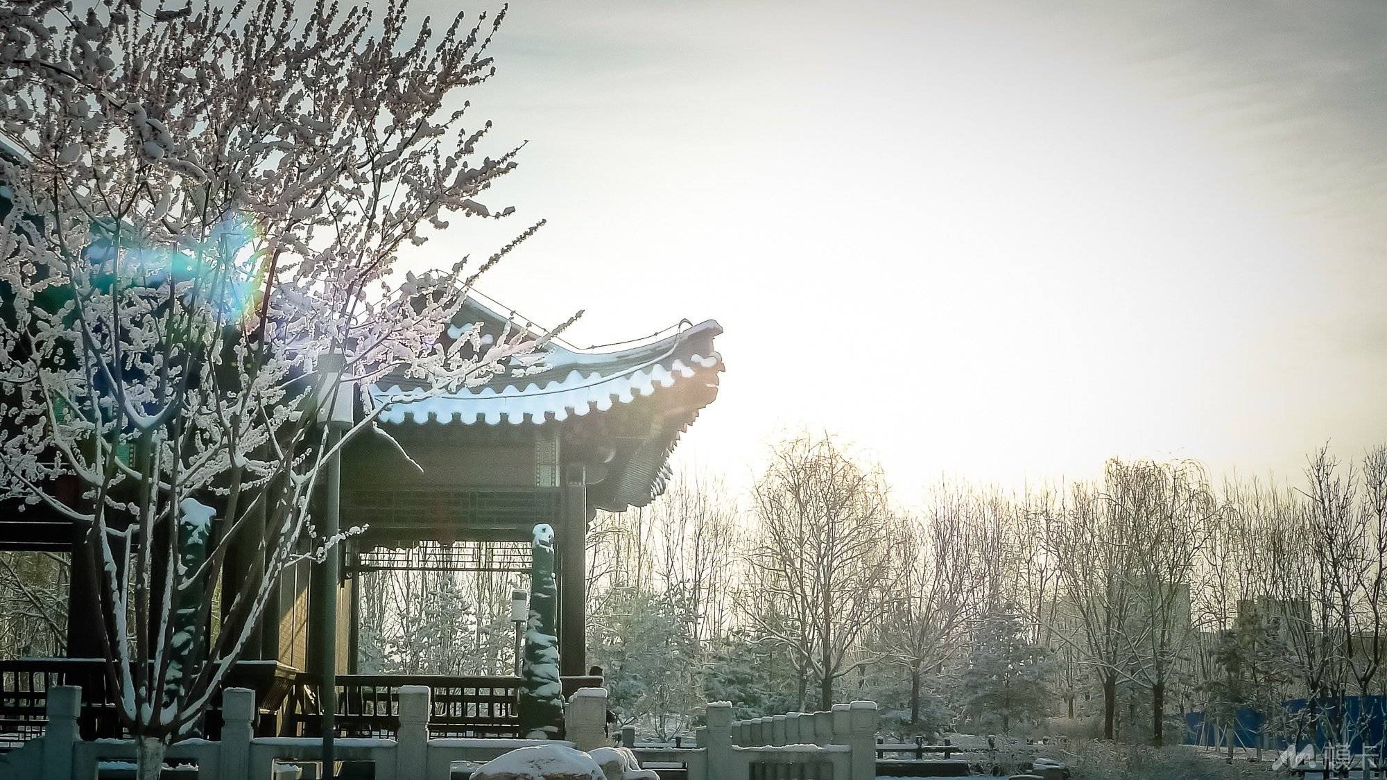 作品图片