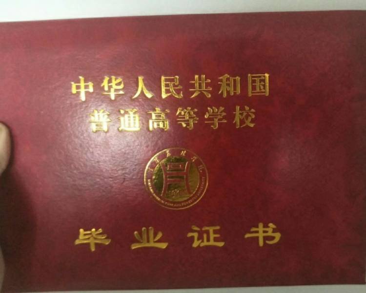 艺人背景图