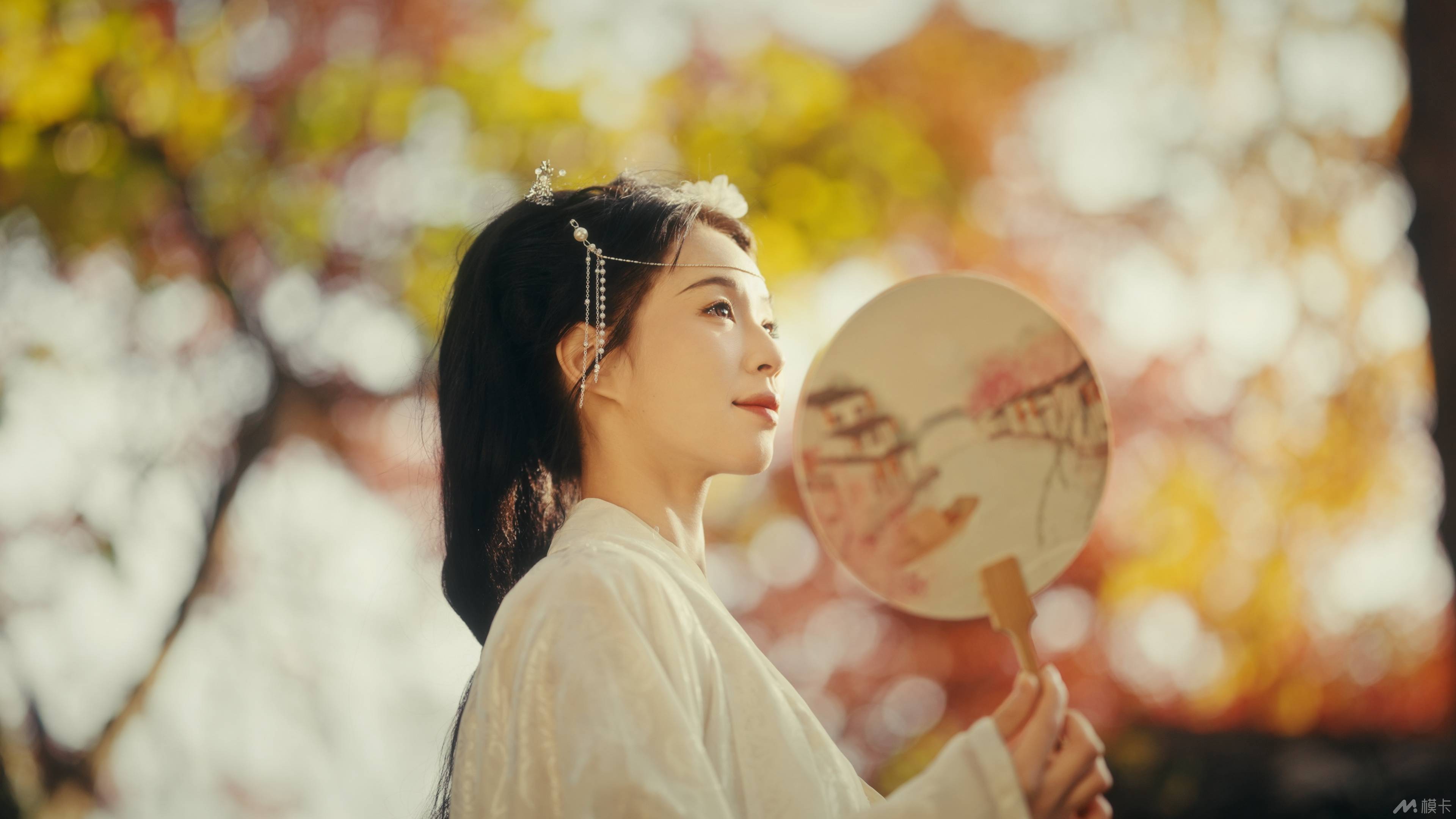 作品图片