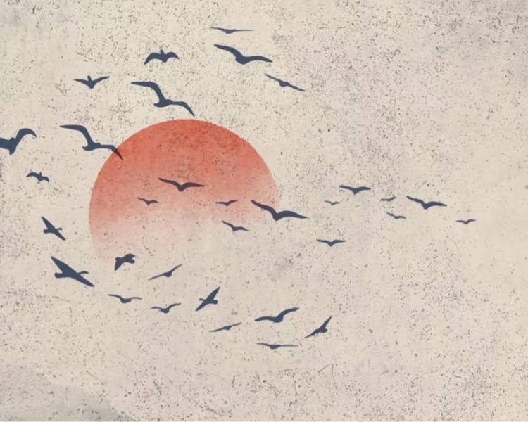 艺人背景图