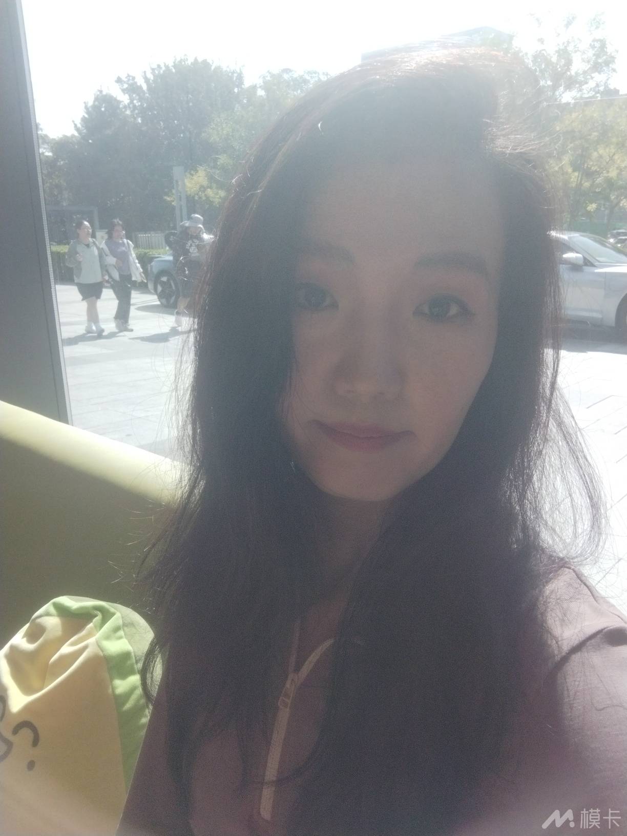 作品图片