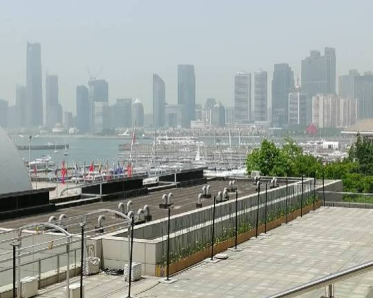 艺人背景图