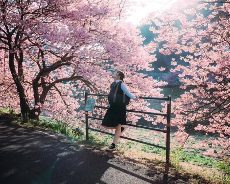 艺人背景图