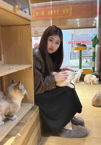 推荐艺人