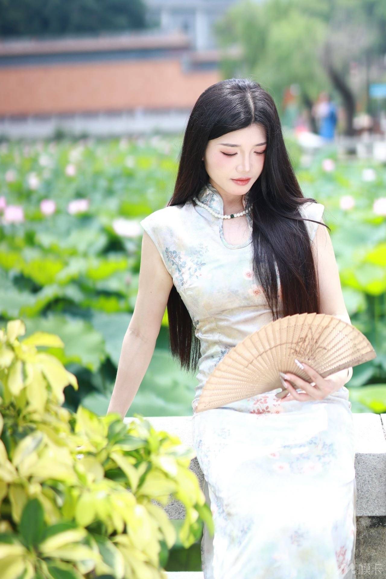 作品图片