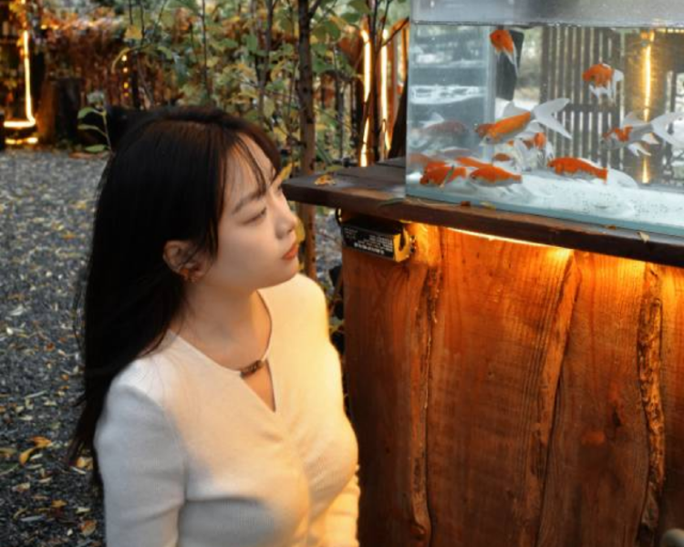 艺人背景图