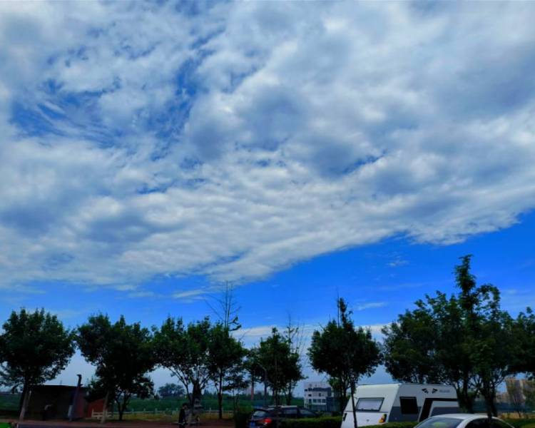 艺人背景图
