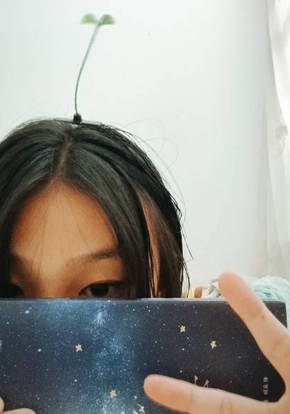 形象照片