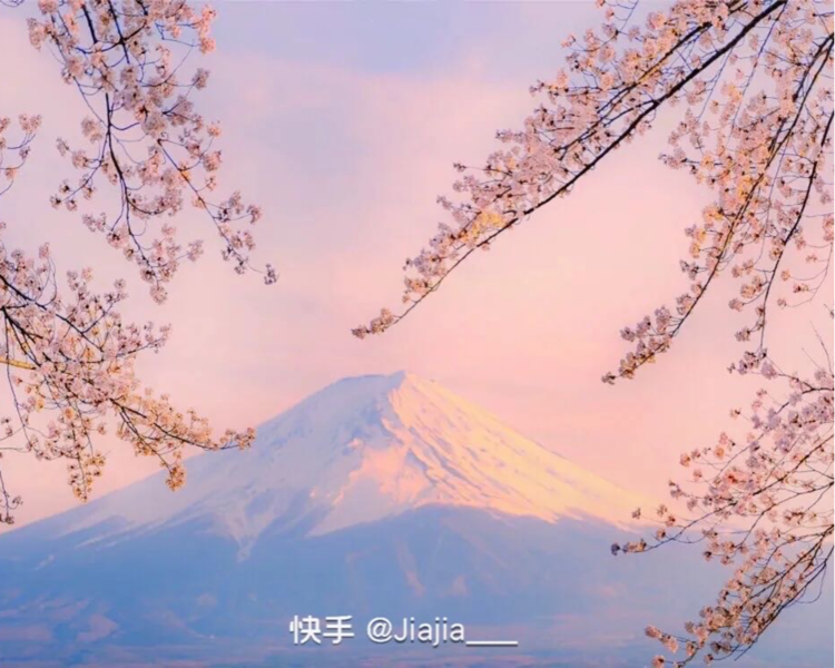 艺人背景图