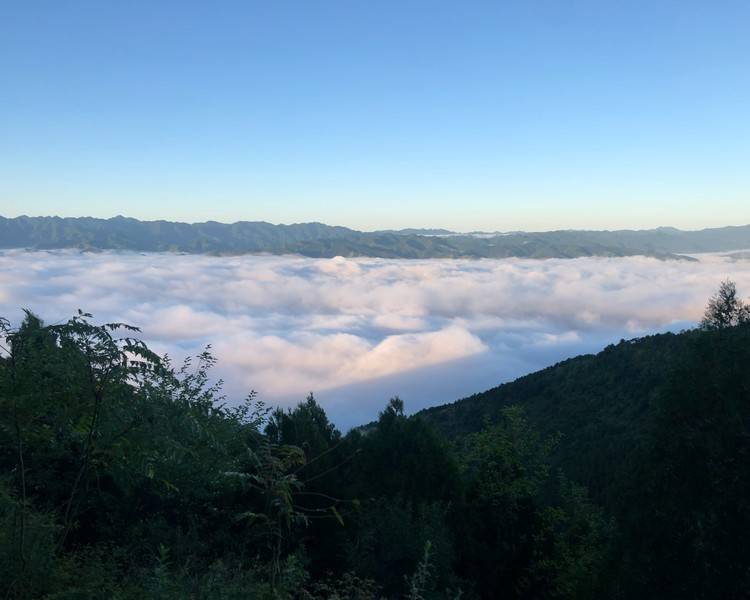 艺人背景图
