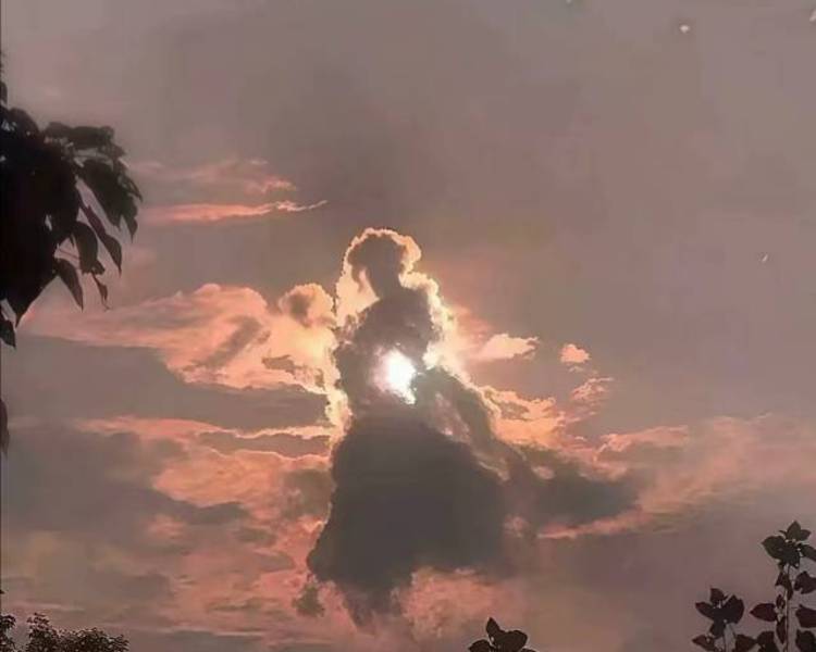 艺人背景图