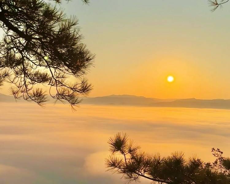 艺人背景图