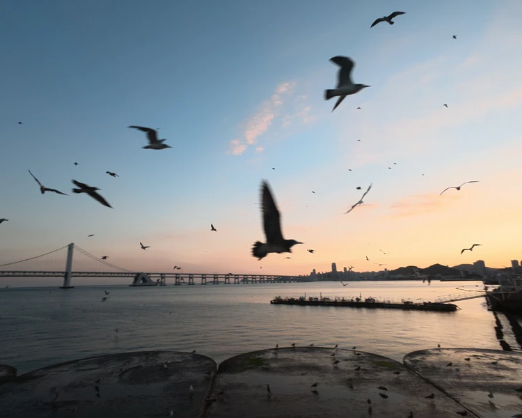 艺人背景图
