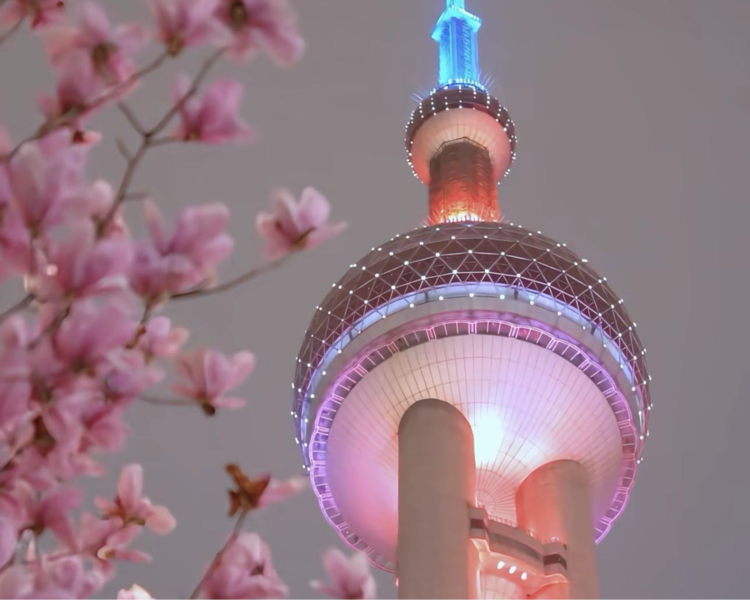 艺人背景图