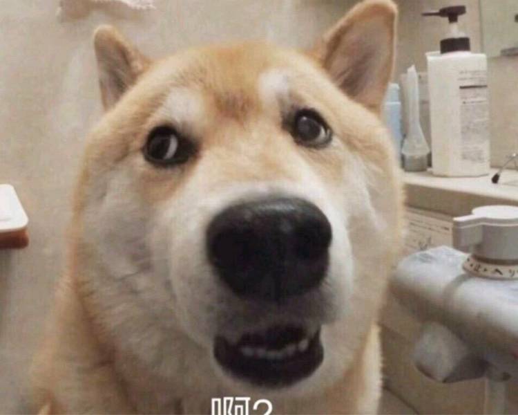 艺人背景图