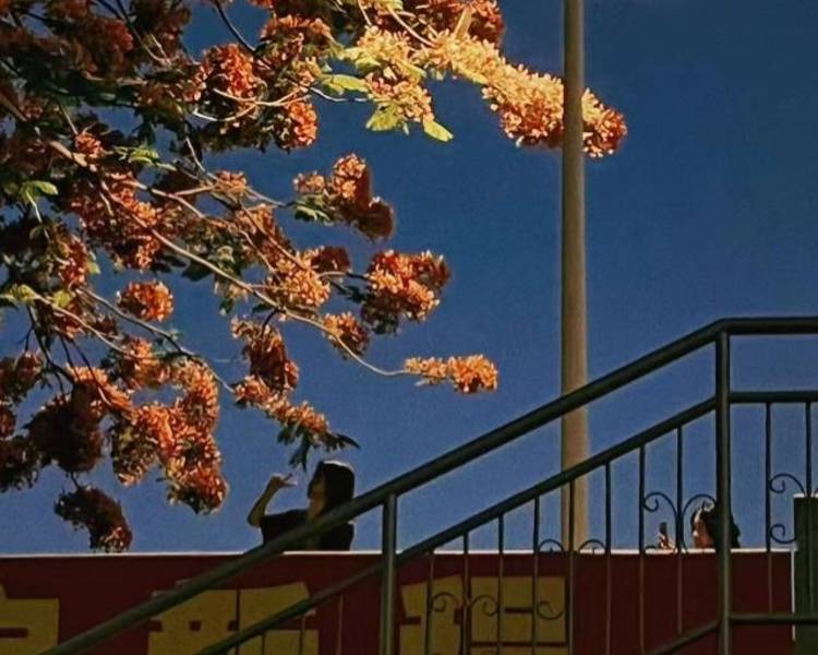 艺人背景图
