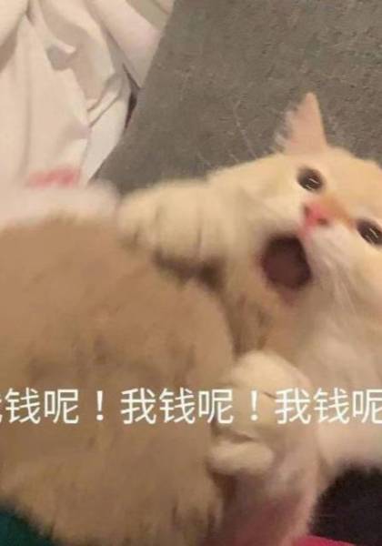 推荐艺人