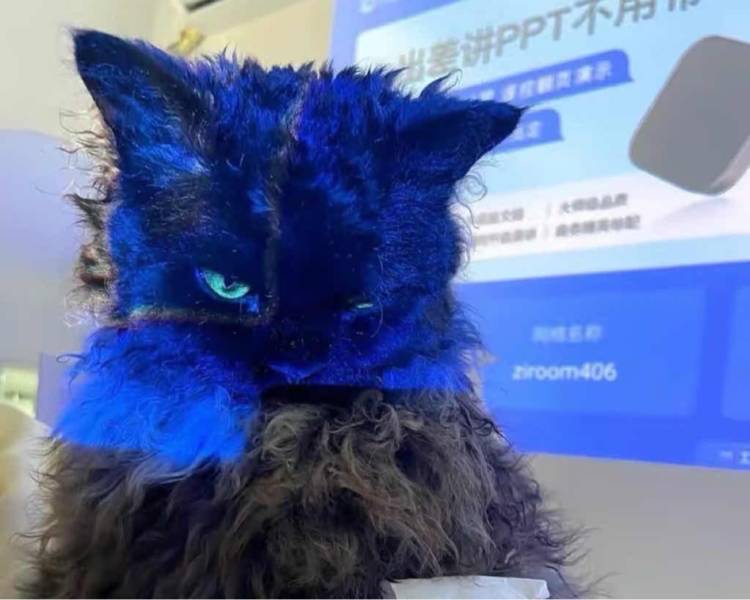 艺人背景图