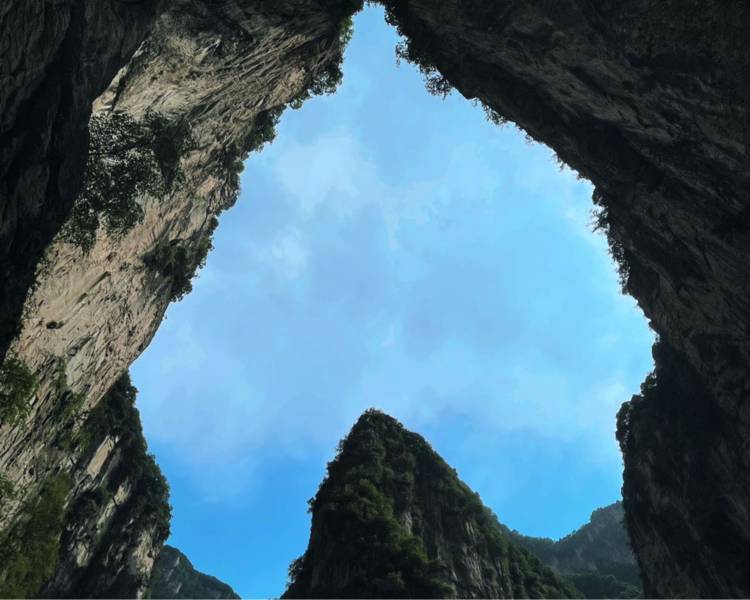 艺人背景图