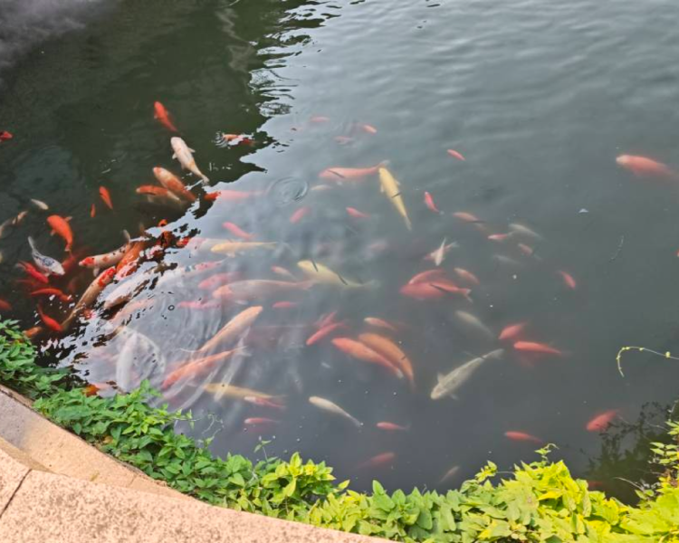 艺人背景图