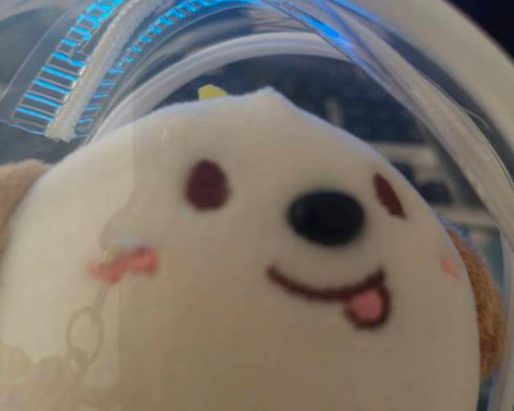 艺人背景图