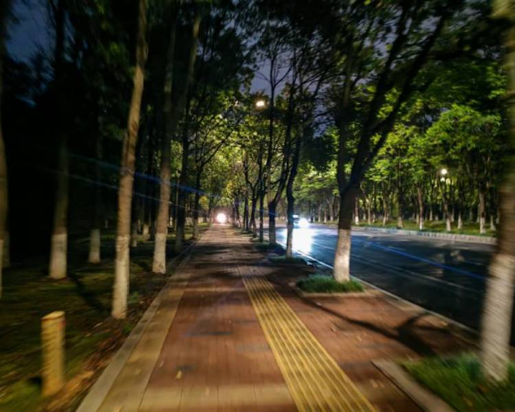 艺人背景图