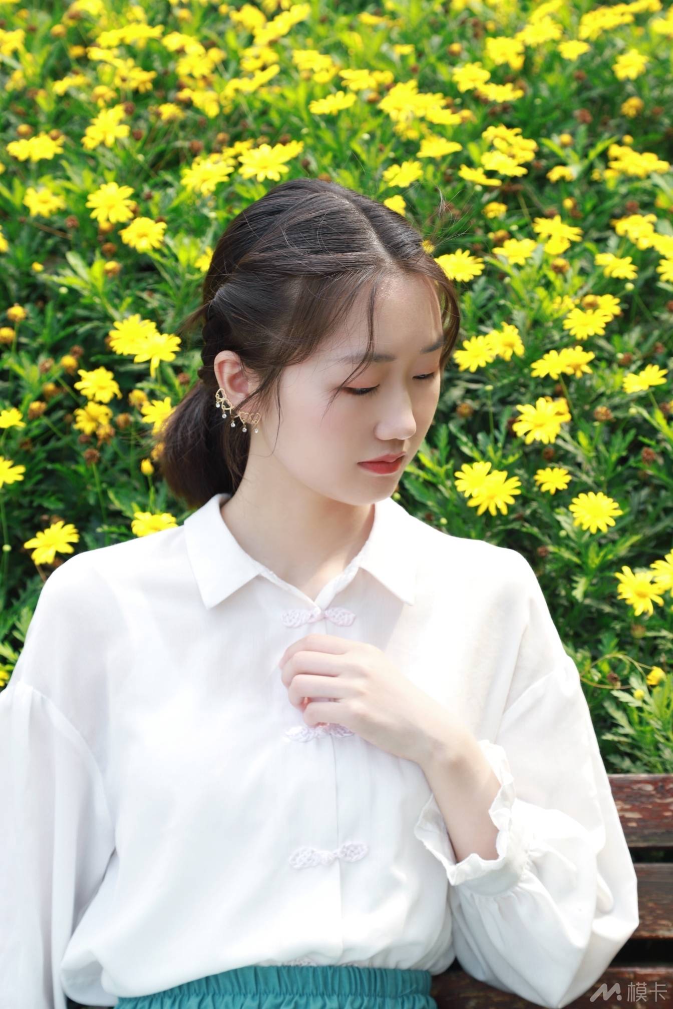 作品图片