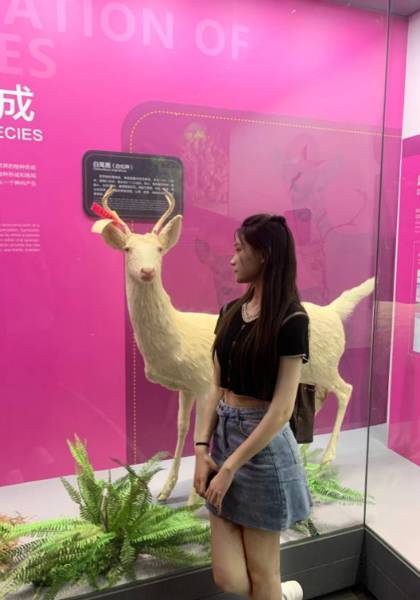 形象照片