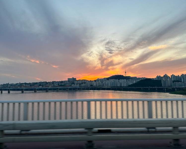 艺人背景图