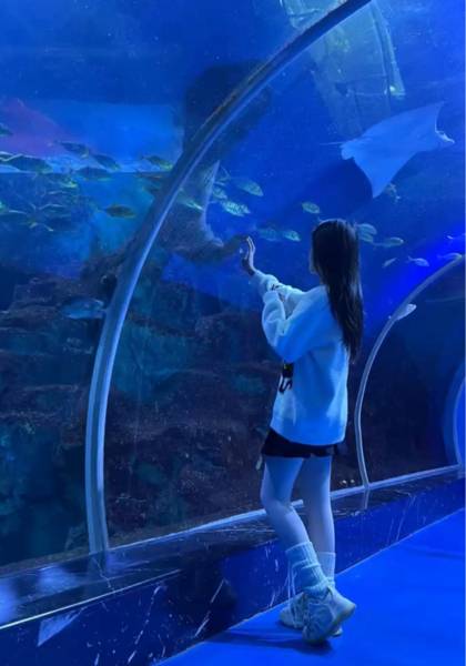推荐艺人