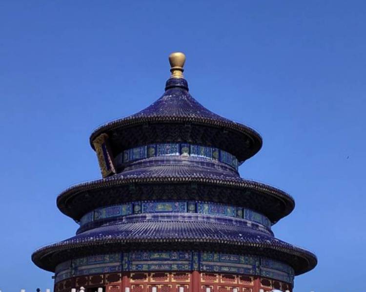 艺人背景图