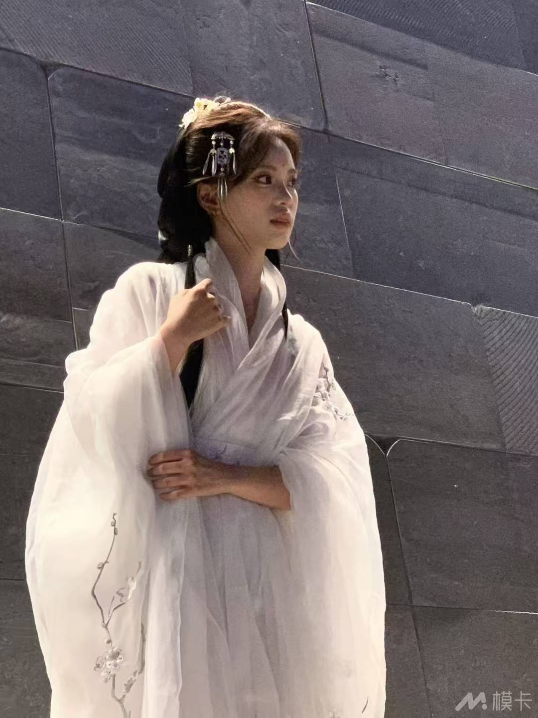 作品图片