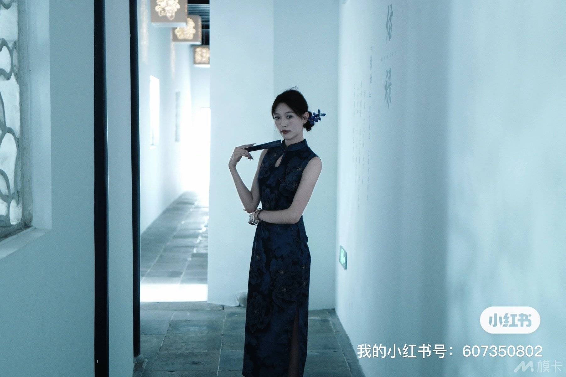 作品图片