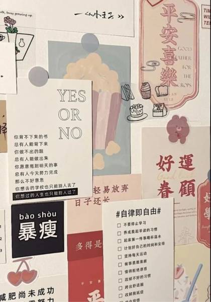 形象照片