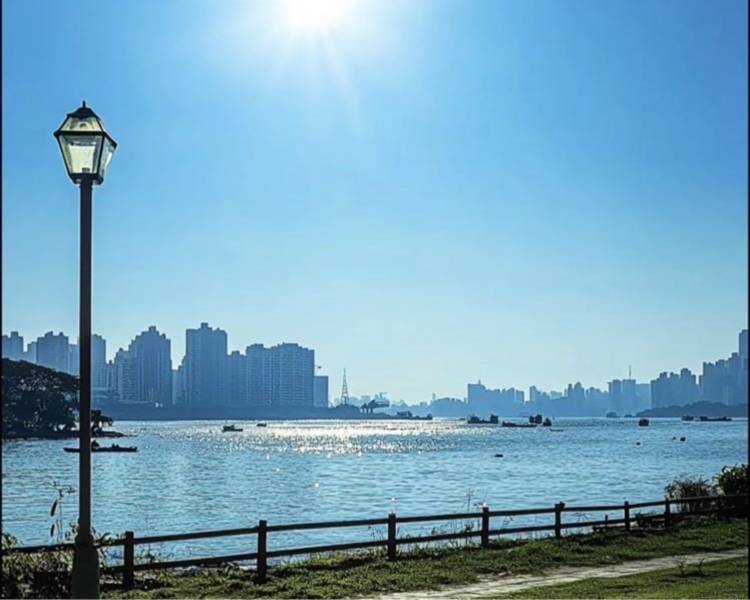艺人背景图