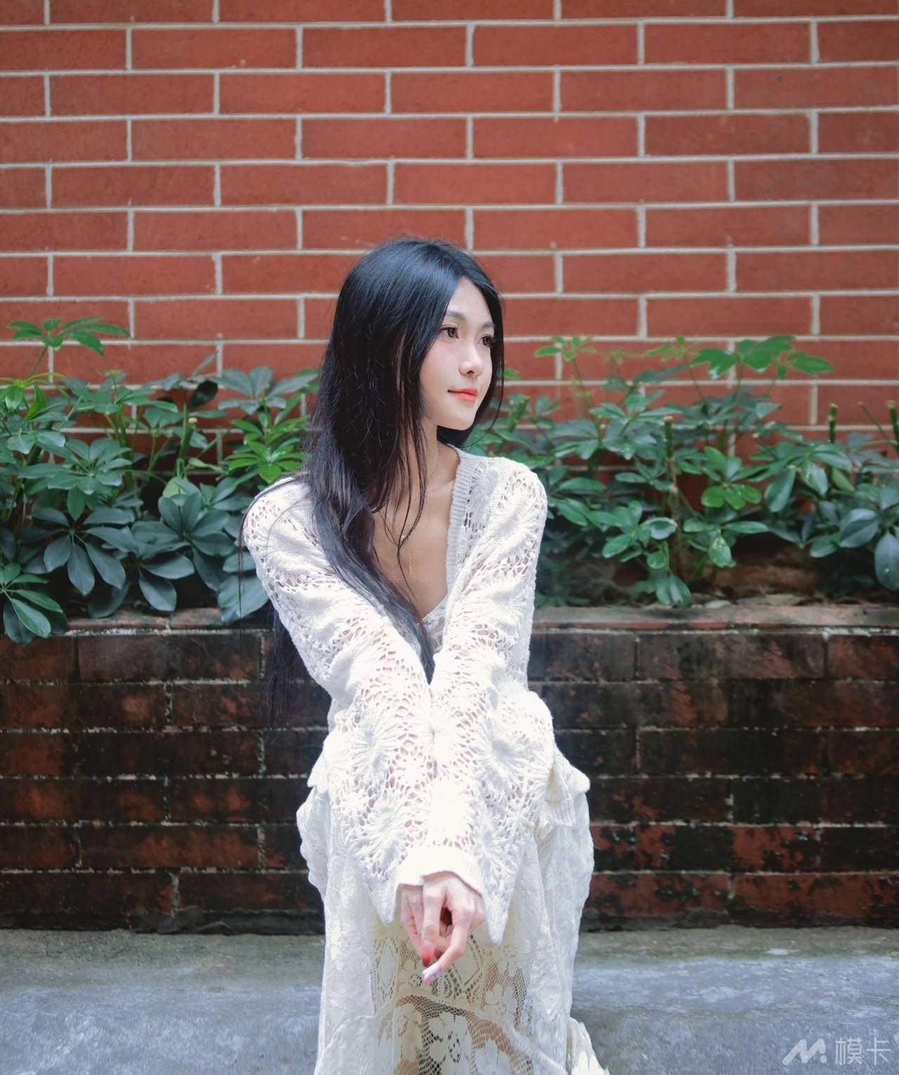 作品图片