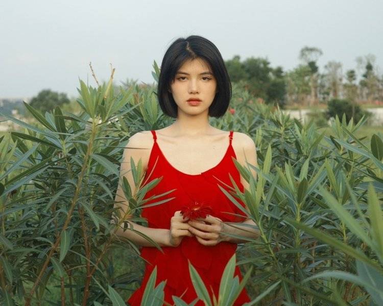 艺人背景图