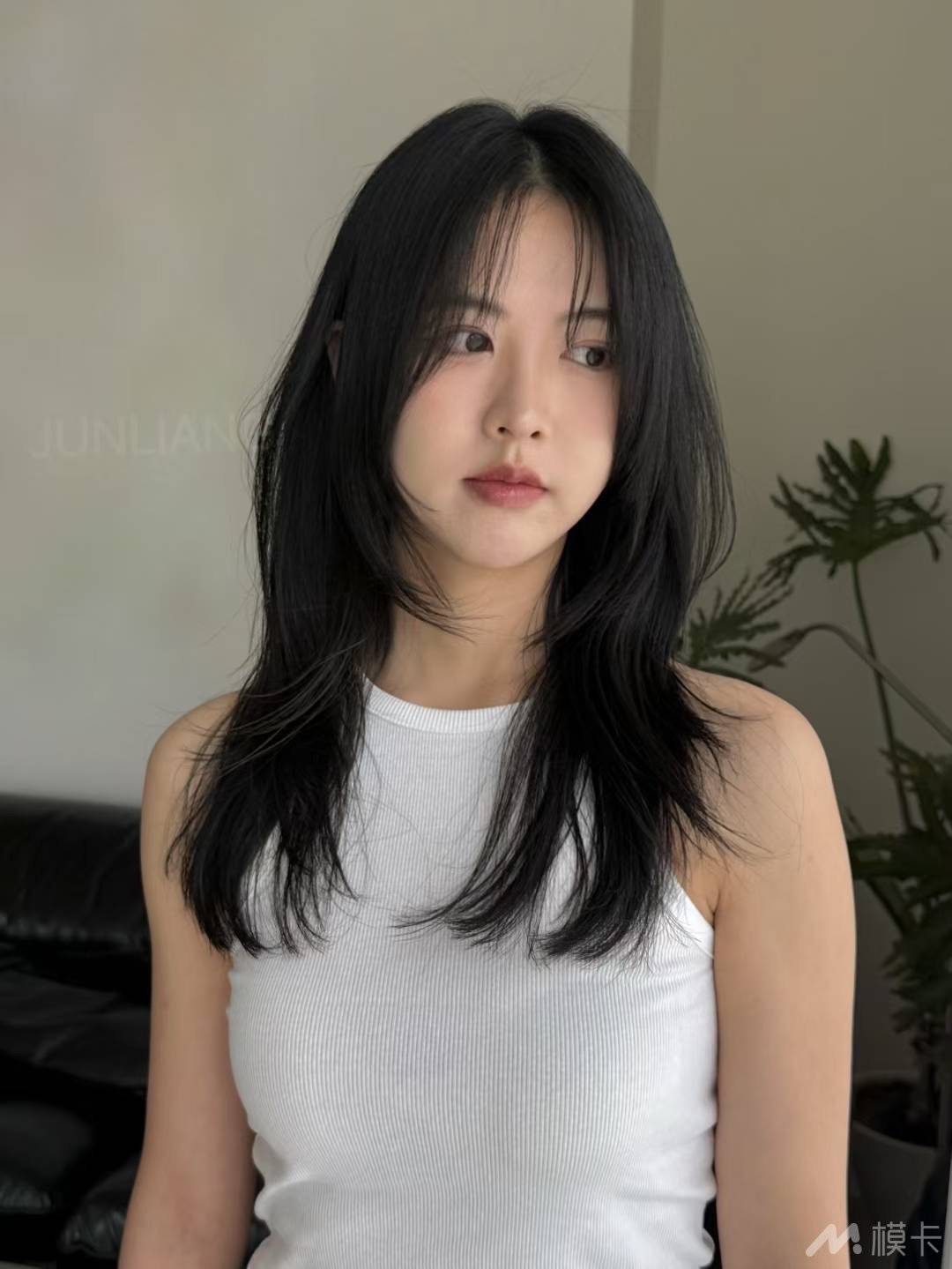 通告图片