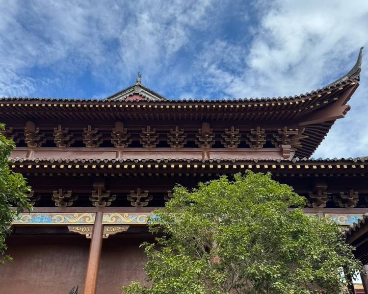 艺人背景图