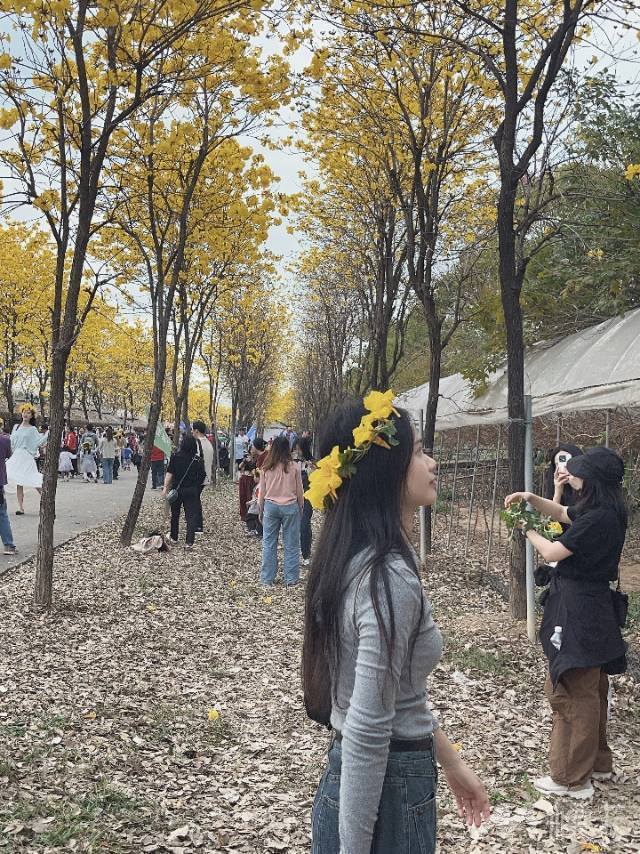 作品图片