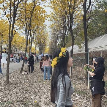 推荐作品