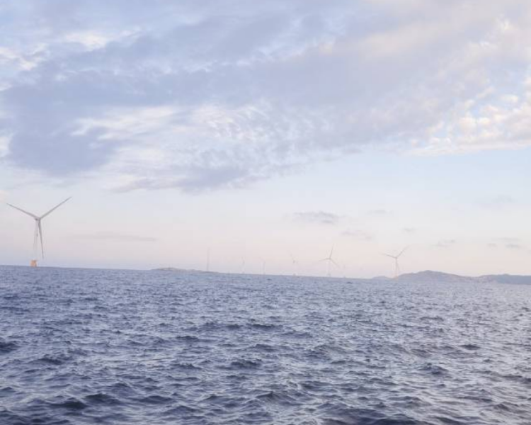 艺人背景图