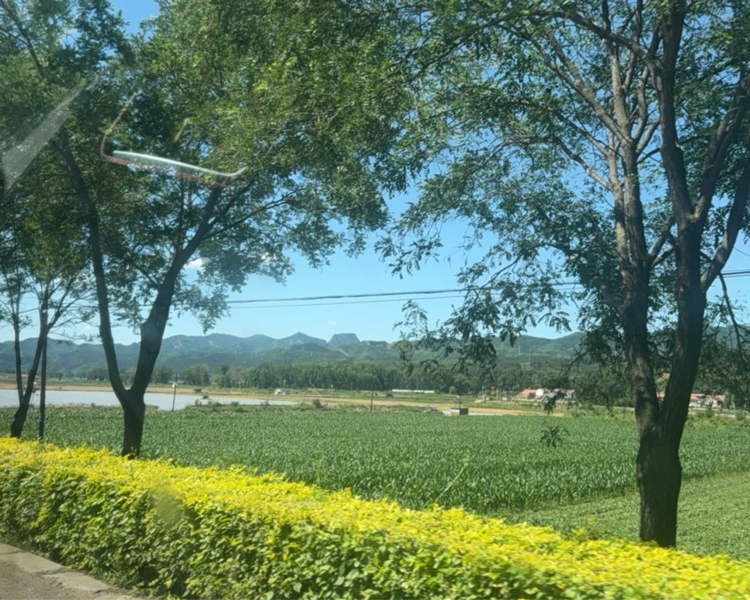 艺人背景图