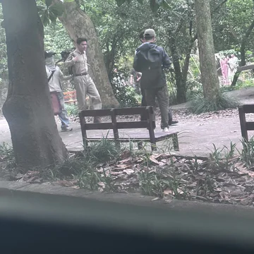 经历图片