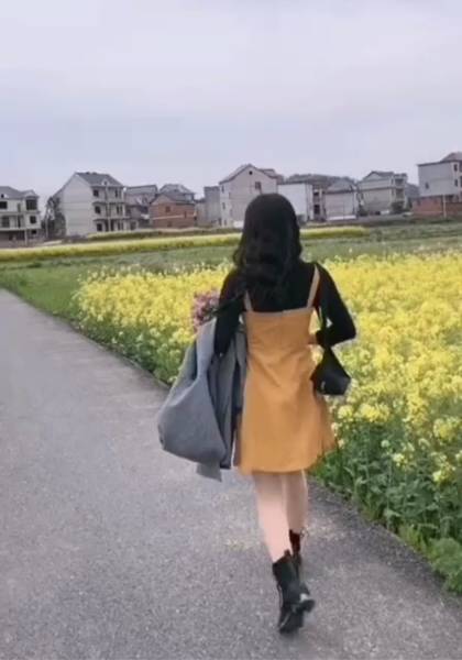 推荐艺人
