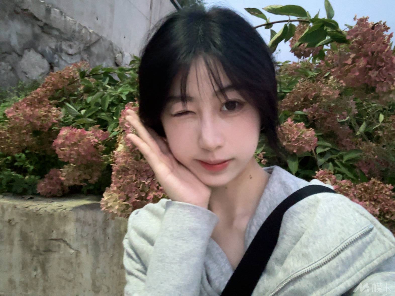 作品图片